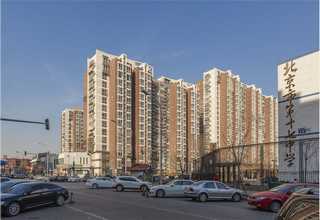 浙江出口宠物包欢迎选购